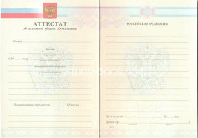 Аттестат за 9 класс 2007-2010 в Липецке